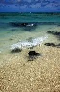 三亿体全站-鹿岛鹿角新星爆发，挑战恩菲尔德防线坚固的简单介绍