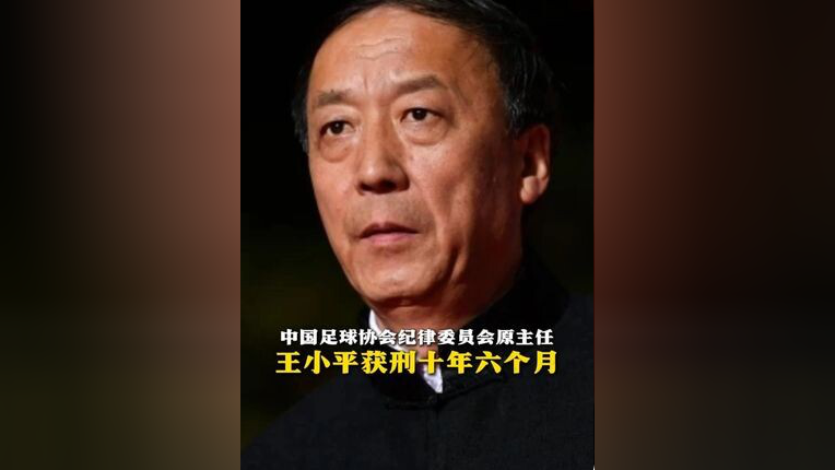 中国足球协会纪律委员会原主任王小平受贿案一审宣判